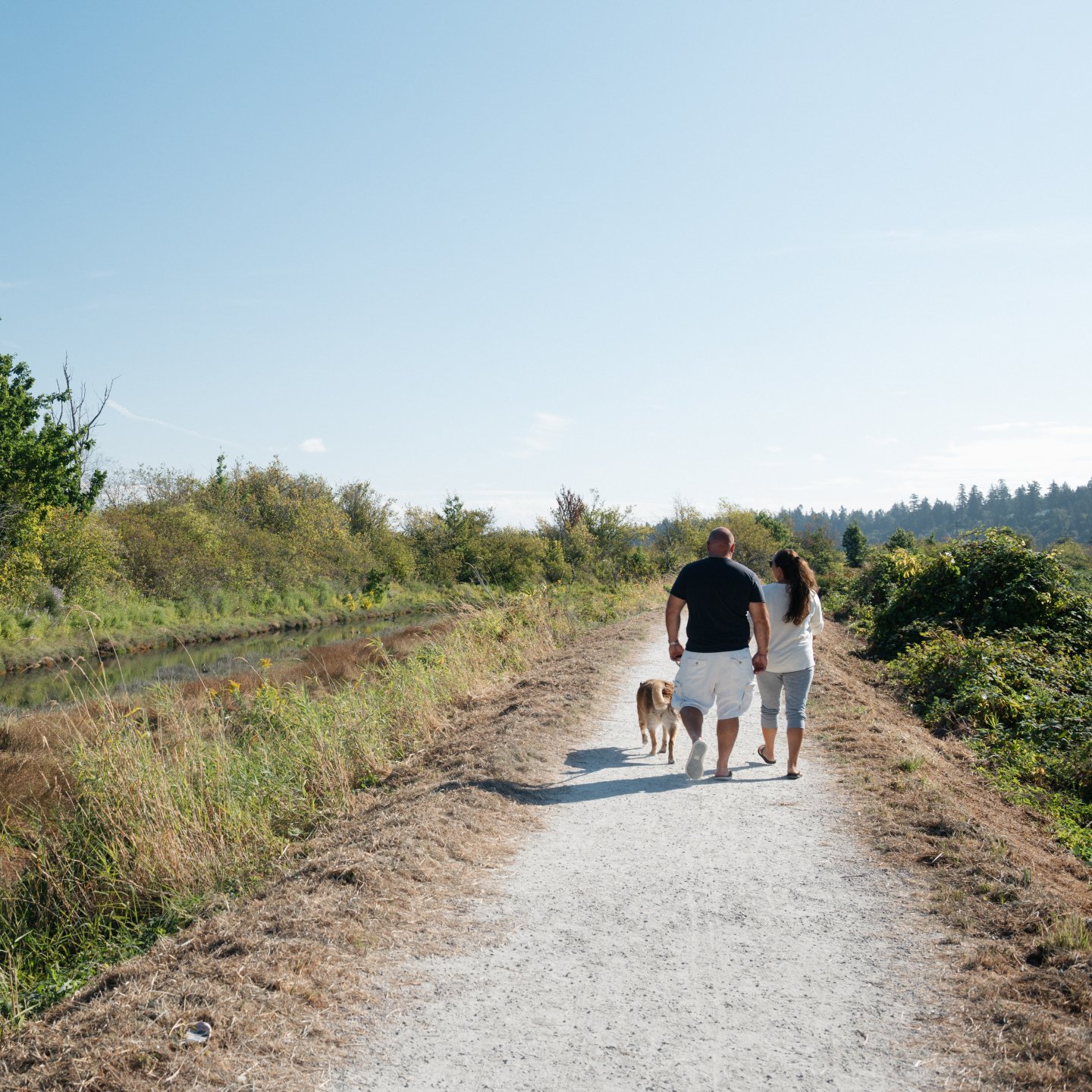 Discover Surrey Blackie Spit Trail Walking Ian Harland DSC 4265